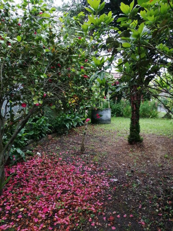 A Casa Dos Avos Villa Celanova Luaran gambar