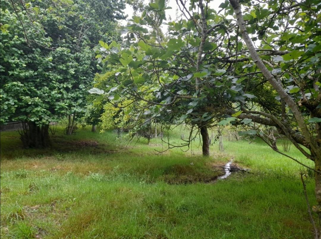 A Casa Dos Avos Villa Celanova Luaran gambar